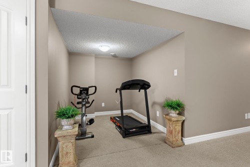 17027 121 Street Nw, Edmonton, AB - Indoor Photo Showing Gym Room
