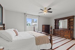 Recessed window with white trim, ceiling fan with integrated lighting, two-tone wood-finish flooring, and light-toned wall paint - 
