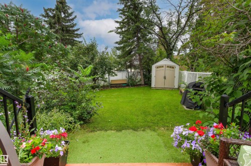 Expansive green lawn with mature trees, a storage shed, and surrounding foliage - 11139 157 Avenue Nw, Edmonton, AB - Outdoor