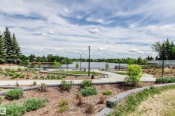 Paved pathways with structured landscaping, waterfront access, and mature surrounding trees - 
