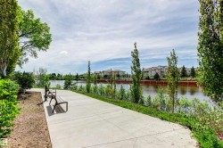 Paved pathway with two public benches, bordering a body of water, with distant buildings and lush trees - 