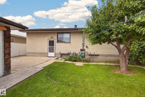 Manicured lawn with mature tree, concrete pathways, and a stucco exterior - 8411 136 Avenue Nw, Edmonton, AB - Outdoor