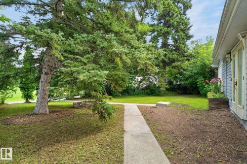 Mature evergreen trees, concrete pathway, light blue horizontal siding, white trim, and a brick planter - 351 Smith Crescent, Rural Parkland County, AB - Outdoor