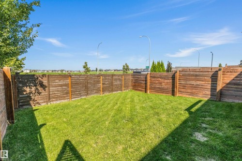 2808 Koshal Crescent Sw, Edmonton, AB - Outdoor