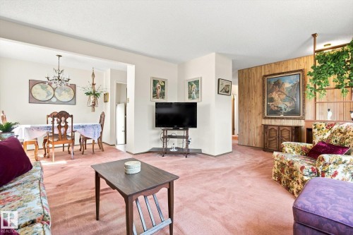 16111 88A Avenue Nw, Edmonton, AB - Indoor Photo Showing Living Room
