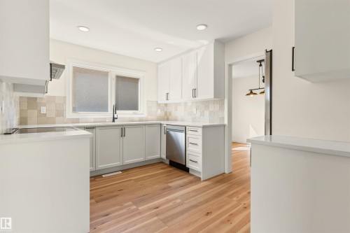 9328 168 Street Nw, Edmonton, AB - Indoor Photo Showing Kitchen