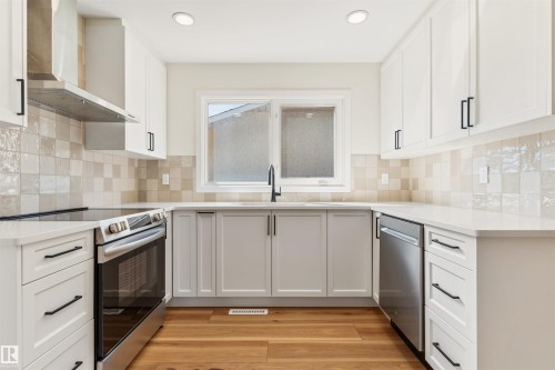 9328 168 Street Nw, Edmonton, AB - Indoor Photo Showing Kitchen With Upgraded Kitchen