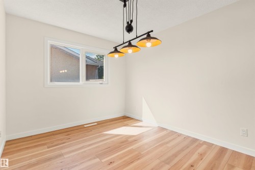 9328 168 Street Nw, Edmonton, AB - Indoor Photo Showing Other Room