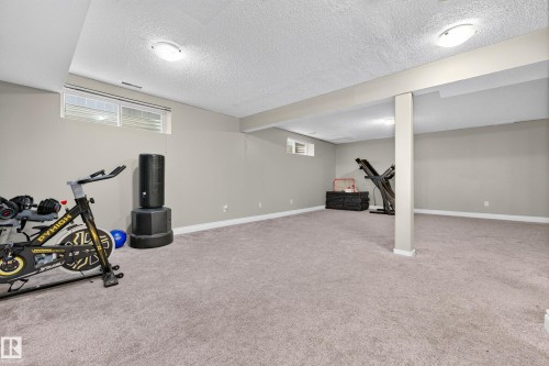 3619 31 Street Nw, Edmonton, AB - Indoor Photo Showing Basement