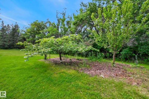 #6 25012 Sturgeon Rd, Rural Sturgeon County, AB - Outdoor