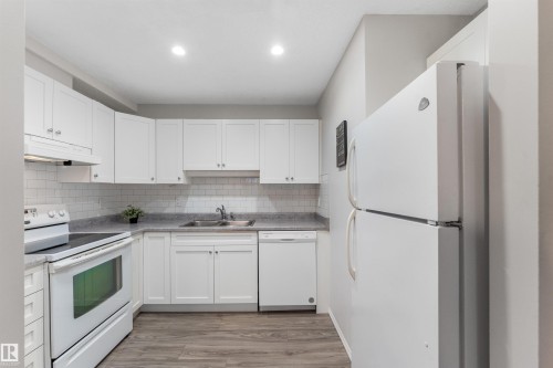 #115 18012 95 Av Nw, Edmonton, AB - Indoor Photo Showing Kitchen With Double Sink