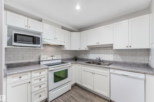 #115 18012 95 Av Nw, Edmonton, AB - Indoor Photo Showing Kitchen With Double Sink