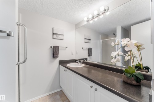 #115 18012 95 Av Nw, Edmonton, AB - Indoor Photo Showing Bathroom