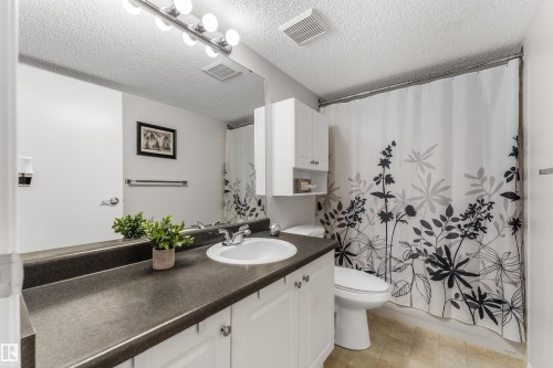 #115 18012 95 Av Nw, Edmonton, AB - Indoor Photo Showing Bathroom