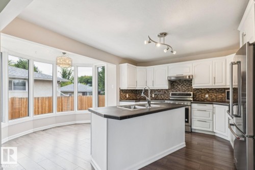 10151 71 Street Nw, Edmonton, AB - Indoor Photo Showing Kitchen With Stainless Steel Kitchen With Double Sink