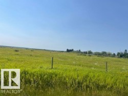 Expansive open field with natural grass and scattered distant trees under a clear sky - 