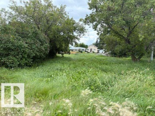 Expansive grassy terrain with mature trees - 5714 55 Street, Vegreville, AB 