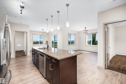 #323 320 Ambleside Link Li Sw, Edmonton, AB - Indoor Photo Showing Kitchen With Upgraded Kitchen
