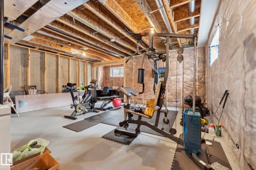 17308 49 Street Nw, Edmonton, AB - Indoor Photo Showing Basement