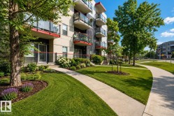 #413 10611 117 ST NW Edmonton, AB T5H 0G6