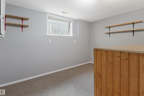 Versatile bonus room featuring neutral gray walls, carpeted flooring, and abundant natural light from a high window - 1055 Jones Crescent Nw, Edmonton, AB - Indoor Photo Showing Other Room