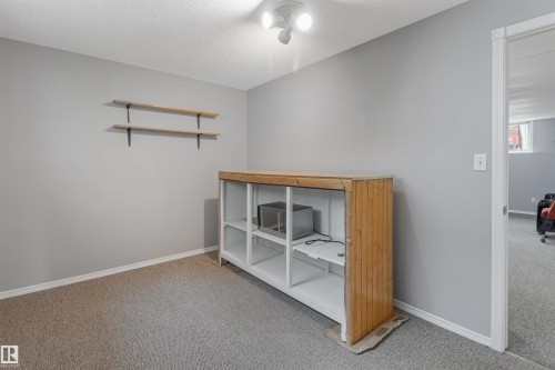 Light gray walls, carpet flooring, wooden built-in shelving, two wall-mounted wooden shelves, and an overhead track light fixture - 1055 Jones Crescent Nw, Edmonton, AB - Indoor Photo Showing Other Room