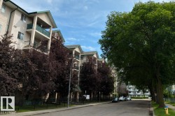 #231 11325 83 ST NW  Edmonton, AB T5B 4W5