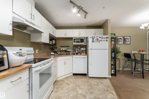 #231 11325 83 St Nw, Edmonton, AB - Indoor Photo Showing Kitchen
