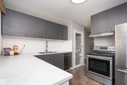 9012 Meadowlark Road Nw, Edmonton, AB - Indoor Photo Showing Kitchen With Stainless Steel Kitchen With Double Sink