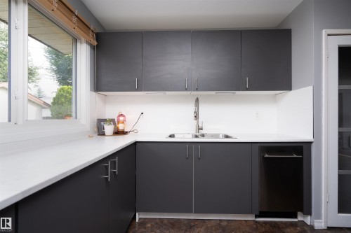9012 Meadowlark Road Nw, Edmonton, AB - Indoor Photo Showing Kitchen With Double Sink