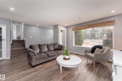 9012 Meadowlark Road Nw, Edmonton, AB - Indoor Photo Showing Living Room