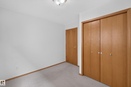 Light-colored wall-to-wall carpeting, wood-finish interior doors, and a ceiling-mounted light fixture - 306 Twin Brooks Drive Nw, Edmonton, AB 