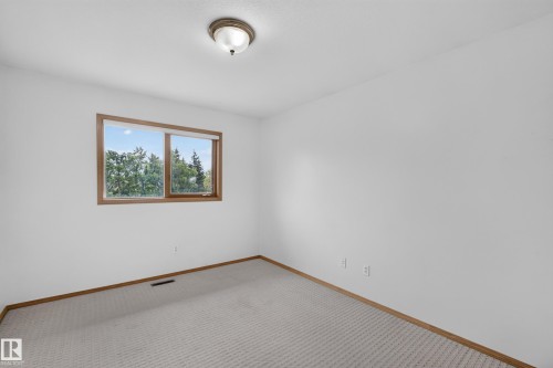 Neutral wall color, carpeted flooring, wood-framed window, and a ceiling-mounted light fixture - 306 Twin Brooks Drive Nw, Edmonton, AB 