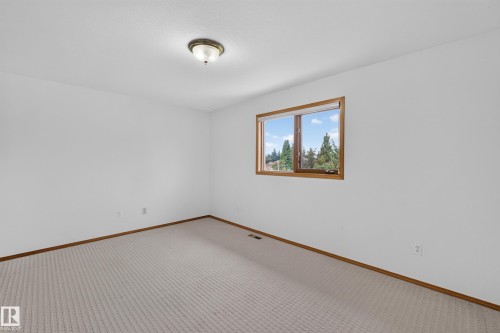Neutral-toned wall-to-wall carpeting with wood-finish baseboards - 306 Twin Brooks Drive Nw, Edmonton, AB 