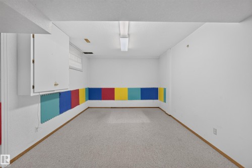 Recessed window, overhead fluorescent lighting, wall-mounted cabinetry, wall-to-wall carpeting, and wood-finish trim - 306 Twin Brooks Drive Nw, Edmonton, AB 