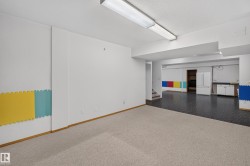 Spacious lower level with carpeted and specialized flooring - 