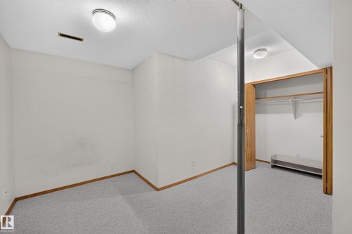 Neutral wall finishes with a ceiling-mounted light fixture, light-toned carpeting, and wood-finish trim - 306 Twin Brooks Drive Nw, Edmonton, AB 
