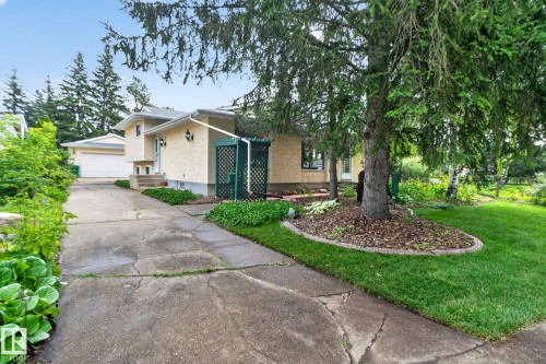 Exterior featuring stucco siding, attached garage, mature evergreen tree, established landscaping, and a concrete driveway - 12 Latimer Place, St. Albert, AB - Outdoor