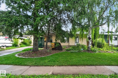 Manicured lawn, mature trees, and established landscaping - 12 Latimer Place, St. Albert, AB - Outdoor
