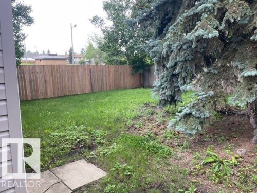 Generous yard space featuring a wood plank fence, mature evergreen tree, and concrete stepping stones - 27 Gatewood Avenue, St. Albert, AB - Outdoor