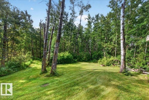 Expansive lawn surrounded by mature trees, featuring a clear sky overhead - 121 51205 Range Road 195, Rural Beaver County, AB - Outdoor