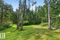 Expansive lawn surrounded by mature trees, featuring a clear sky overhead - 