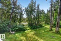 Expansive grassy area surrounded by mature trees, featuring a serene wooded backdrop and a distant water body - 