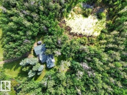 Expansive wooded property featuring a single-story dwelling with a green roof, surrounded by mature trees and a natural wetland area - 
