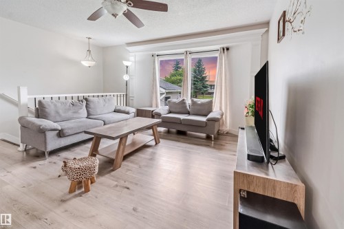 4516 18A Avenue Nw, Edmonton, AB - Indoor Photo Showing Living Room