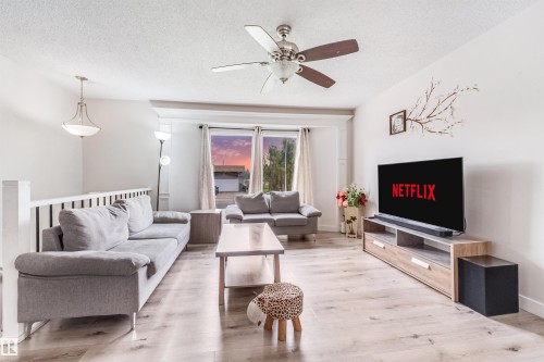 4516 18A Avenue Nw, Edmonton, AB - Indoor Photo Showing Living Room