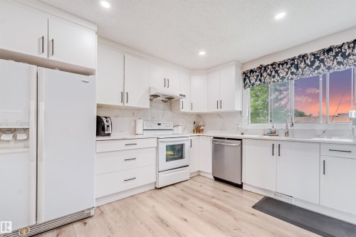 4516 18A Avenue Nw, Edmonton, AB - Indoor Photo Showing Kitchen With Double Sink