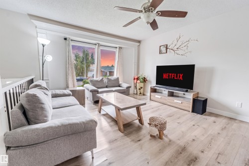 4516 18A Avenue Nw, Edmonton, AB - Indoor Photo Showing Living Room