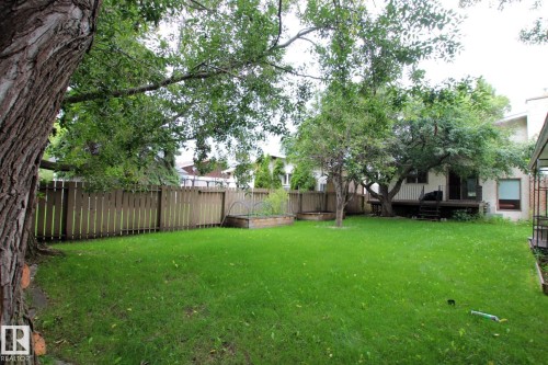 Expansive green lawn with mature trees, surrounded by a wood privacy fence - 18107 89 Avenue Nw, Edmonton, AB - Outdoor