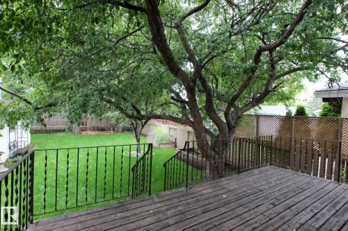 Expansive outdoor decking with black metal railings, overlooking a verdant lawn and mature trees - 18107 89 Avenue Nw, Edmonton, AB - Outdoor